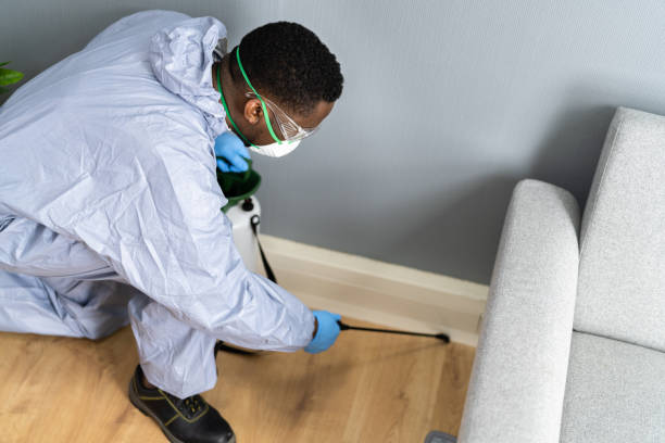 Best Bed Bug Extermination  in Allentown, NJ